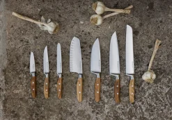 Amici 7
