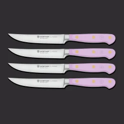 Classic 4-Piece Steak Knife Set
