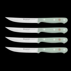 Gourmet 4-Piece Steak Knife Set