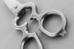 Stainless Kitchen Shears
